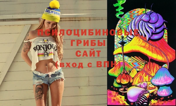 MDMA Premium VHQ Богородицк