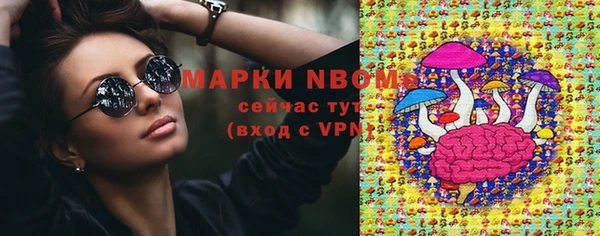 тгк Богданович