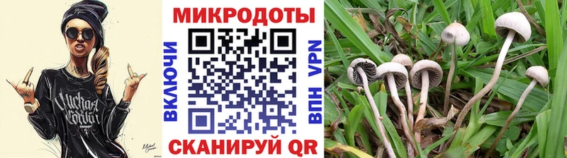 где можно купить   Вилюйск  Псилоцибиновые грибы Cubensis 